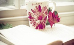 英语作文的句子如何写出彩(写出出彩英语作文的方法)