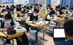 初中学习怎么提高效率(提高学习效率的方法)