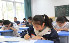 语文怎么轻松拿高分(在语文考试中取得好成绩的方法)