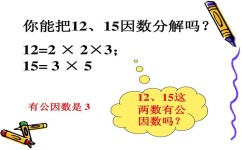 数学质数怎么学习(学习质数的建议和方法)