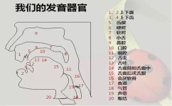 翘舌音有哪些学习方法(学习翘舌音的有效方法)