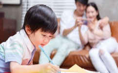 暑假怎么学习语文(暑假学习语文的建议)