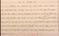 如何高效写出英语作文(写出高质量英语作文的方法)