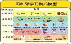 怎么做才能高效学习(提高学习效率的策略)