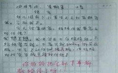 如何鼓励孩子多运动(鼓励孩子积极参与运动的方法) 如何鼓励孩子多运动(鼓励孩子积极参与运动的方法)