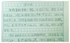 数学做题怎么提高准确率(在数学做题时提高准确率的方法)