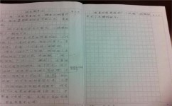 新初一作文怎么写(写作建议和结构示例分享)