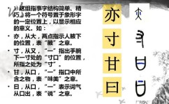 现代汉语怎么学(提高语言能力的方法)