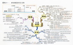 怎么让孩子爱上物理化(让孩子爱上物理的方法)
