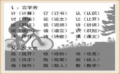 小学动词怎么训练(有效的动词训练方法)