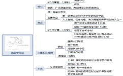 如何高效的自律(培养和维持自律的方法)