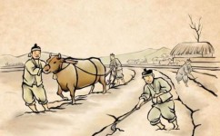 怎么灵活应用知识点(掌握和应用知识点的方法)