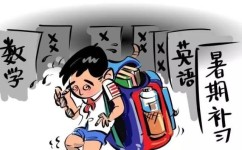 怎么抓住数学启蒙的黄金期(数学启蒙阶段提供有效的支持)