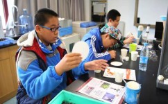 小学高年级怎么提前学习(小学高年级学生提前学习的策略)