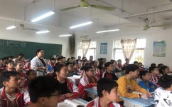 语文应该怎么学(语文有效的学习方法和建议)
