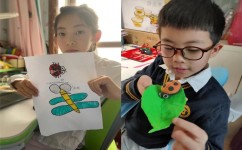 怎么培养孩子的跨学科性(培养孩子跨学科能力的方法)