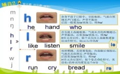 如何高效学习音标(高效学习音标的方法)