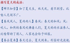 怎样写夏天作文(构思和组织作文的方法)