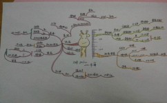 有什么好用的背书方法(提高记忆效果的方法)