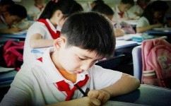 英语写作怎么提高(提高英语写作水平的方法)