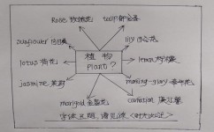 怎么培养孩子注意力集中(提高注意力集中能力的方法)