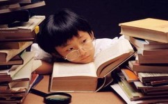 如何培养高效的学习动力(培养高效学习动力的方法)