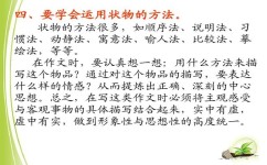 如何写状物作文(写状物作文的步骤)