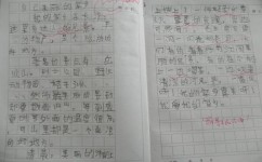 如何掌握课程的内容(掌握课内容的技巧)