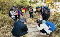 如何尝试自己解决问题(尝试自己解决问题的策略)