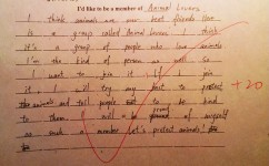 英语阅读理解怎么解答(提高理解和答题准确性的方法)