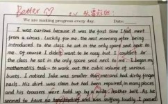 英语作文如何提分(英语作文提分的方法)