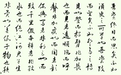 如何正确对待学习(对待学习的建议)
