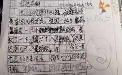 怎么训练专注力(有效的训练专注力的方法)