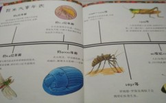 如何熟记数学公式(记忆数学公式的技巧)