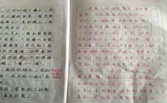 怎么整理写作思路(整理写作思路的技巧)