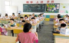 如何高效吸收课堂知识(高效吸收课堂知识的方法)