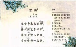 雪的景色怎么描写(表达雪的景色的方法)