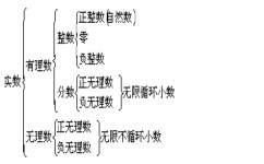 如何培养数学方面的能力(数学方面提升能力的)