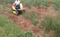 如何抓写作业速度(提高写作业速度的方法)