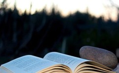 数学差怎么提高成绩(提高数学成绩的方法)