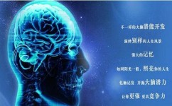 脑力能怎么提升(提升脑力有效的方法)