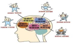如何快速记忆大量信息(提高记忆效率的方法)