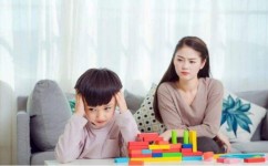 如何让孩子主动学习起来(激发孩子学习兴趣的技巧)