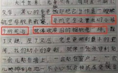 小学生作文如何入门(提高写作能力的步骤)