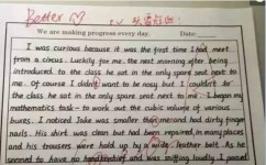 英语作文怎么提分(提升英语作文分数的技巧)
