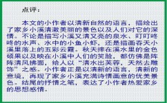 写作怎么表达情感(在写作中表达情感的技巧)