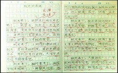如何把文章写优美(提升文章优美程度的建议)
