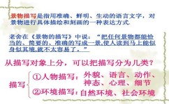 如何学会描写小动物(提高描写能力的步骤)