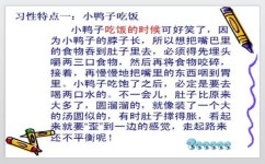 怎么写好描写小动物的作文(写好描写小动物作文的方法)