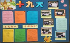 怎么总结当天学习内容(高效进行学习总结的方法)
